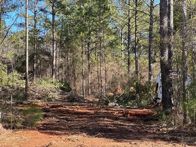 a view of a yard with lots of trees