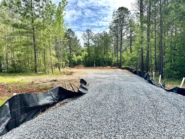 a view of a backyard with large trees