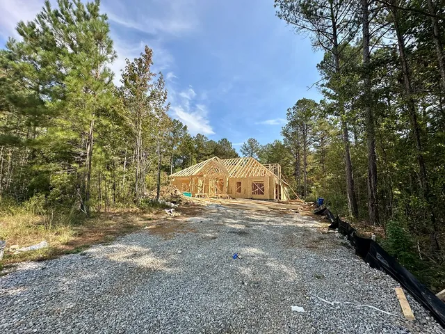 a view of a out door of the forest