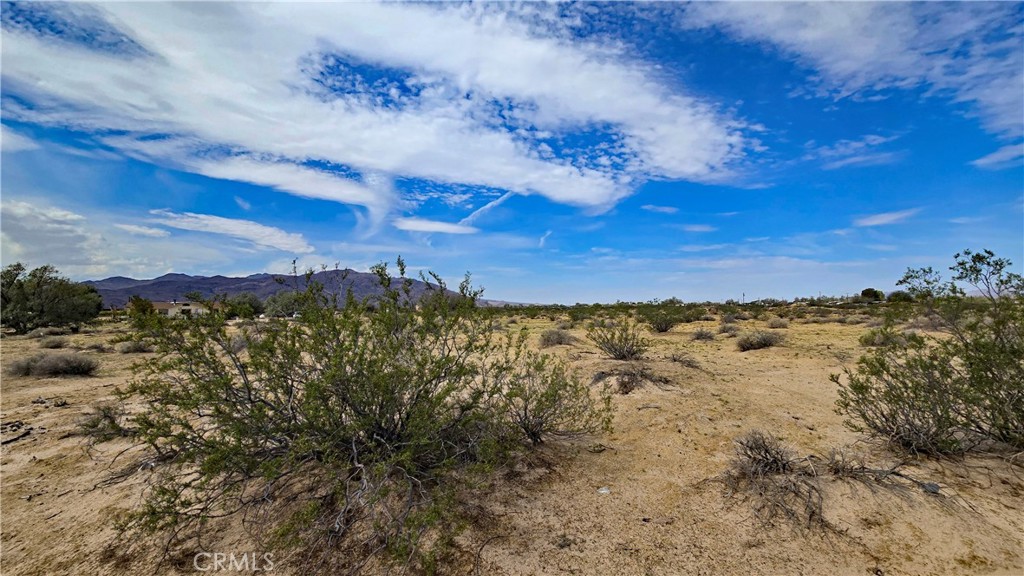 0 Fremont Road Newberry Springs, CA 92365 - Photo 7 of 33 Gallery Image 7
