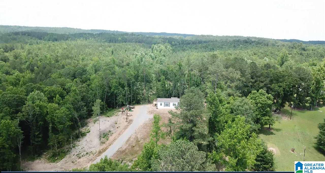 4569 Mount Hermon Church Road Adger, AL 35006 - Photo 1 of 8