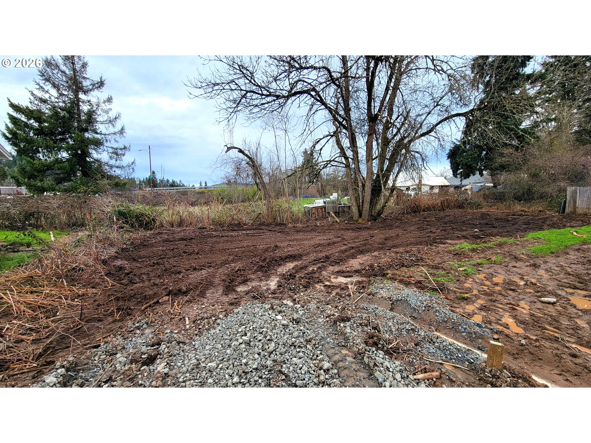 East Chamberlain Avenue, Unit 900 Cottage Grove, OR 97424 - Photo 4 of 5
