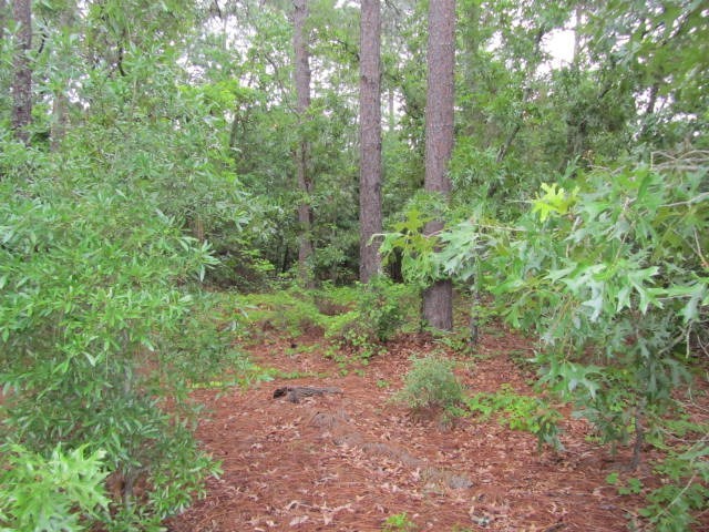 20 McLeod Road Pinehurst, NC 28374 - Photo 4 of 5 Additional Photo