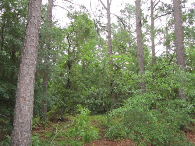 20 McLeod Road Pinehurst, NC 28374 - Photo 5 of 5 Additional Photo