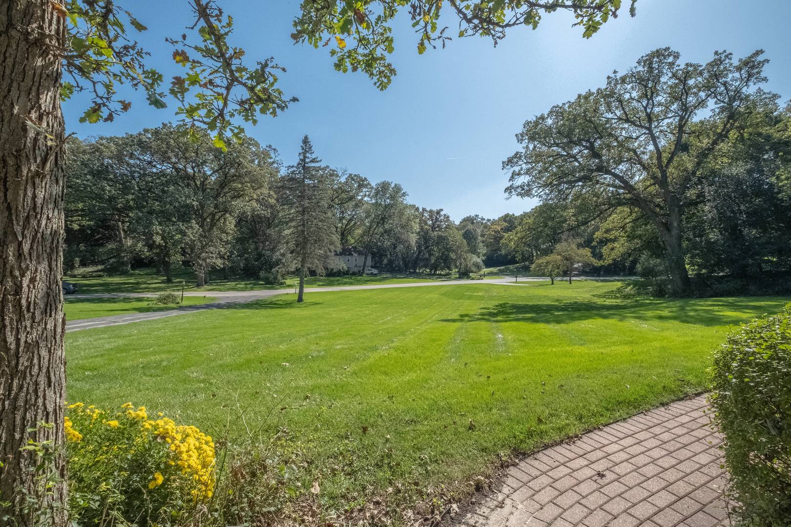 20 Marryat Road Trout Valley, IL 60013 - Photo 18 of 33 a view of a garden with a tree