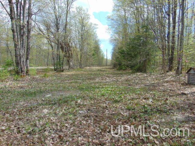 15195 County Road 505 Road Newberry, MI 49868 - Photo 3 of 13