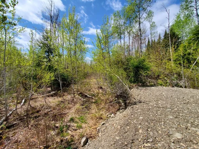 $21,000 | Lot#2 Cone Road, Amity, ME 04471