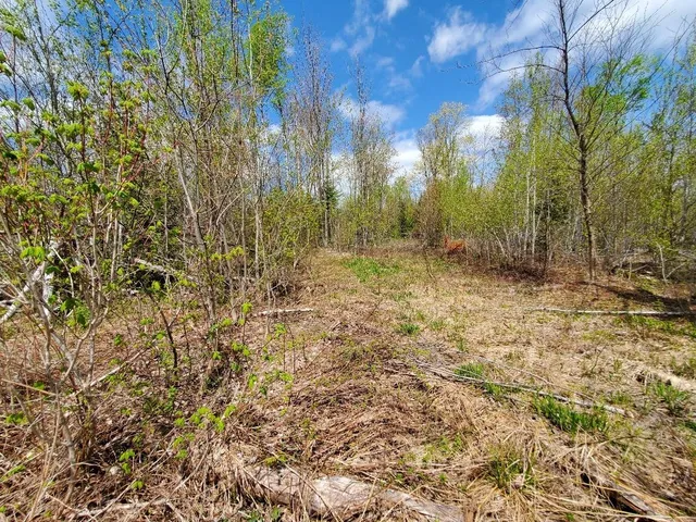 $21,000 | Lot#2 Cone Road, Amity, ME 04471