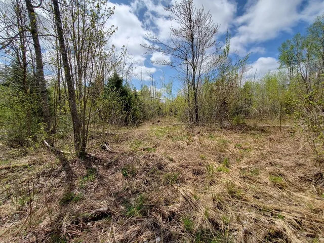$21,000 | Lot#2 Cone Road, Amity, ME 04471
