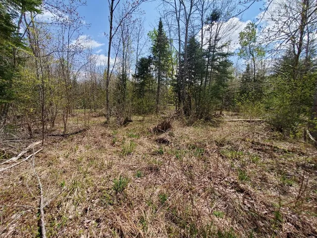 $21,000 | Lot#2 Cone Road, Amity, ME 04471
