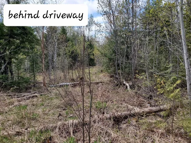 $21,000 | Lot#2 Cone Road, Amity, ME 04471