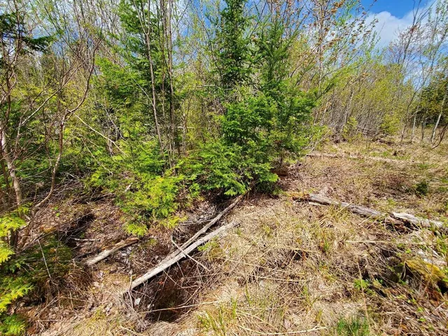 $21,000 | Lot#2 Cone Road, Amity, ME 04471