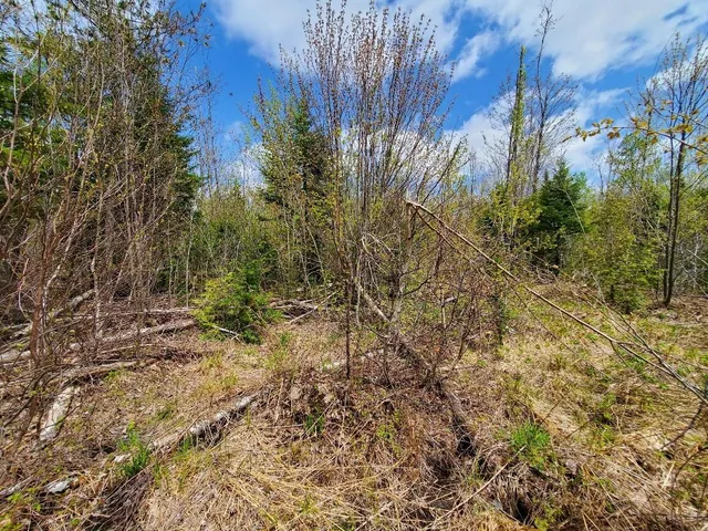 $21,000 | Lot#2 Cone Road, Amity, ME 04471