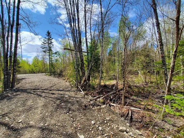 $20,000 | Lot#2 Cone Road, Amity, ME 04471