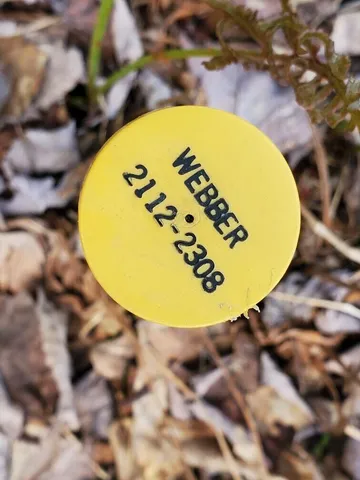 $21,000 | Lot#2 Cone Road, Amity, ME 04471