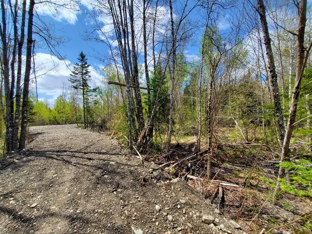 $21,000 | Lot#2 Cone Road, Amity, ME 04471