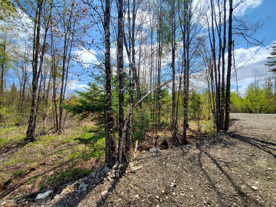 Lot#2 Cone Road Amity, ME 04471 - Photo 8 of 20 20230514_120419_resized