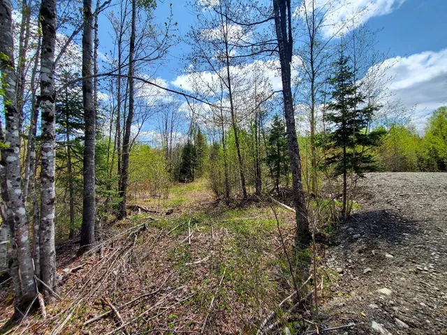 $21,000 | Lot#2 Cone Road, Amity, ME 04471