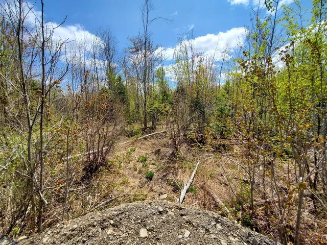 $21,000 | Lot#2 Cone Road, Amity, ME 04471
