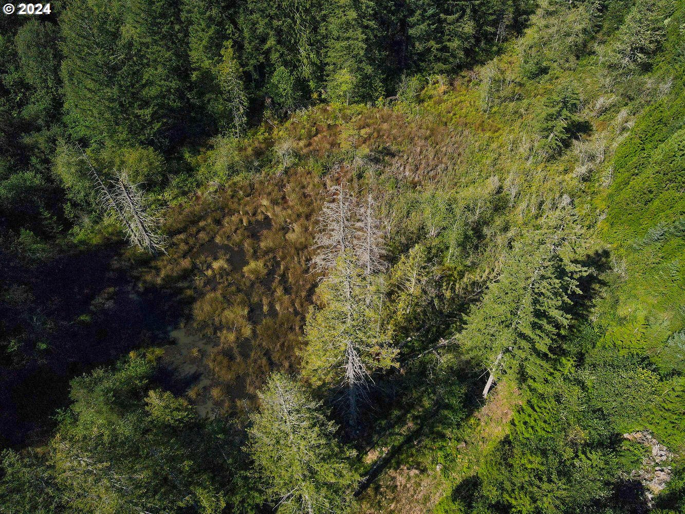 38570 Southeast Porter Road Estacada, OR 97023 - Photo 38 of 47 Gallery Image 38