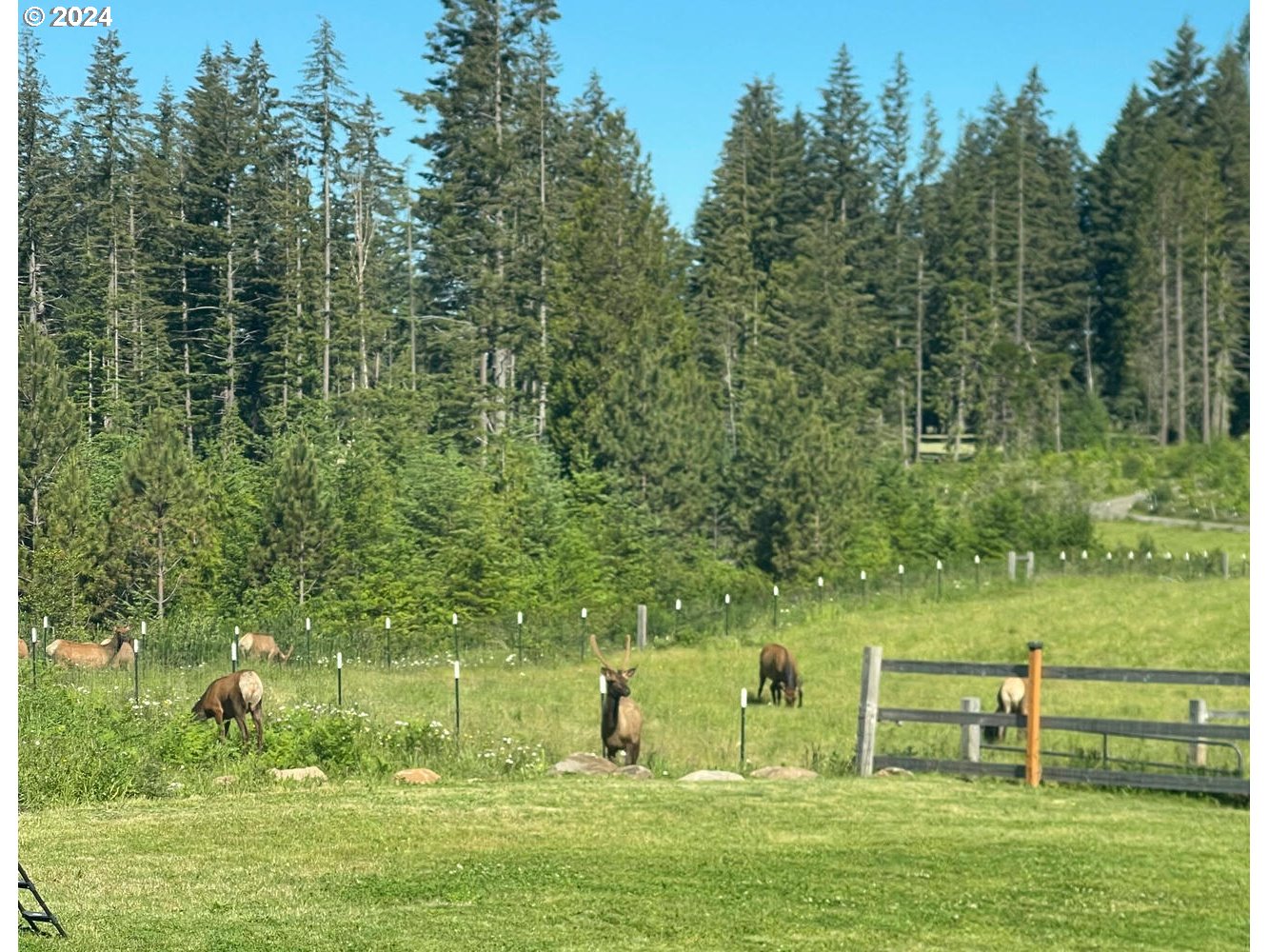 38570 Southeast Porter Road Estacada, OR 97023 - Photo 44 of 47 Gallery Image 44