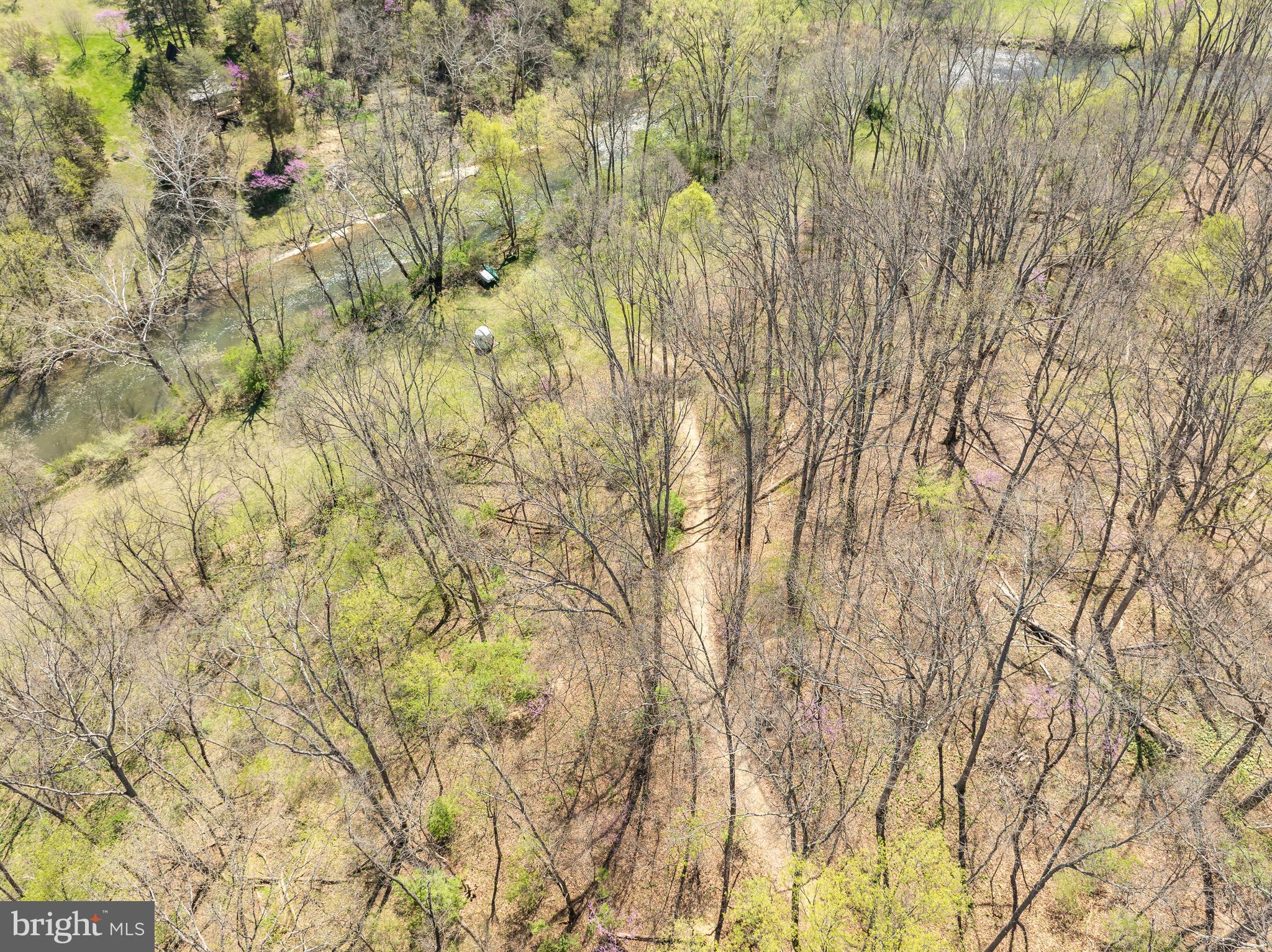 1524 Lamplight Road Bunker Hill, WV 25413 - Photo 29 of 44 a backyard of a house with lots of trees