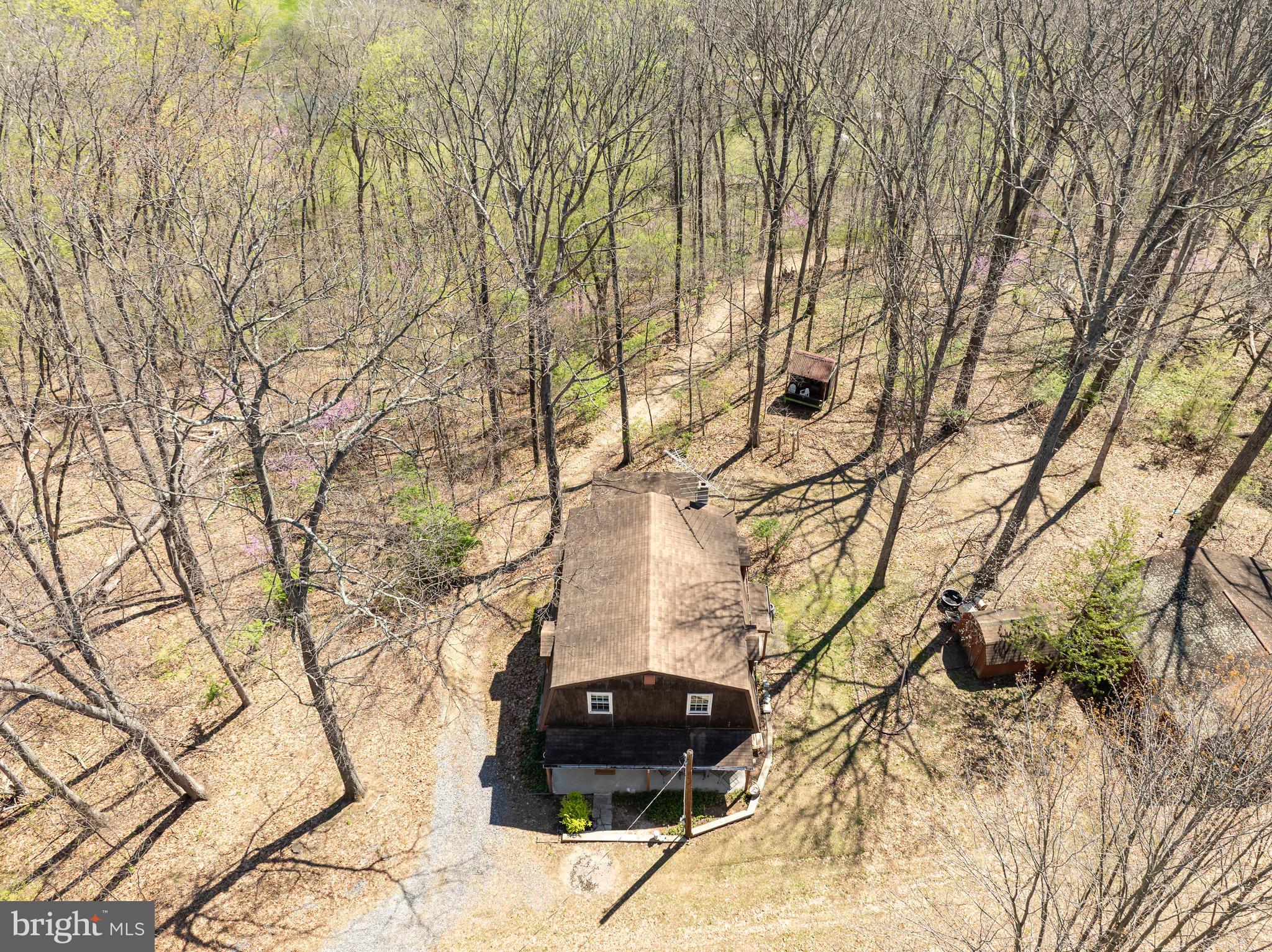 1524 Lamplight Road Bunker Hill, WV 25413 - Photo 32 of 44 a street view with large trees
