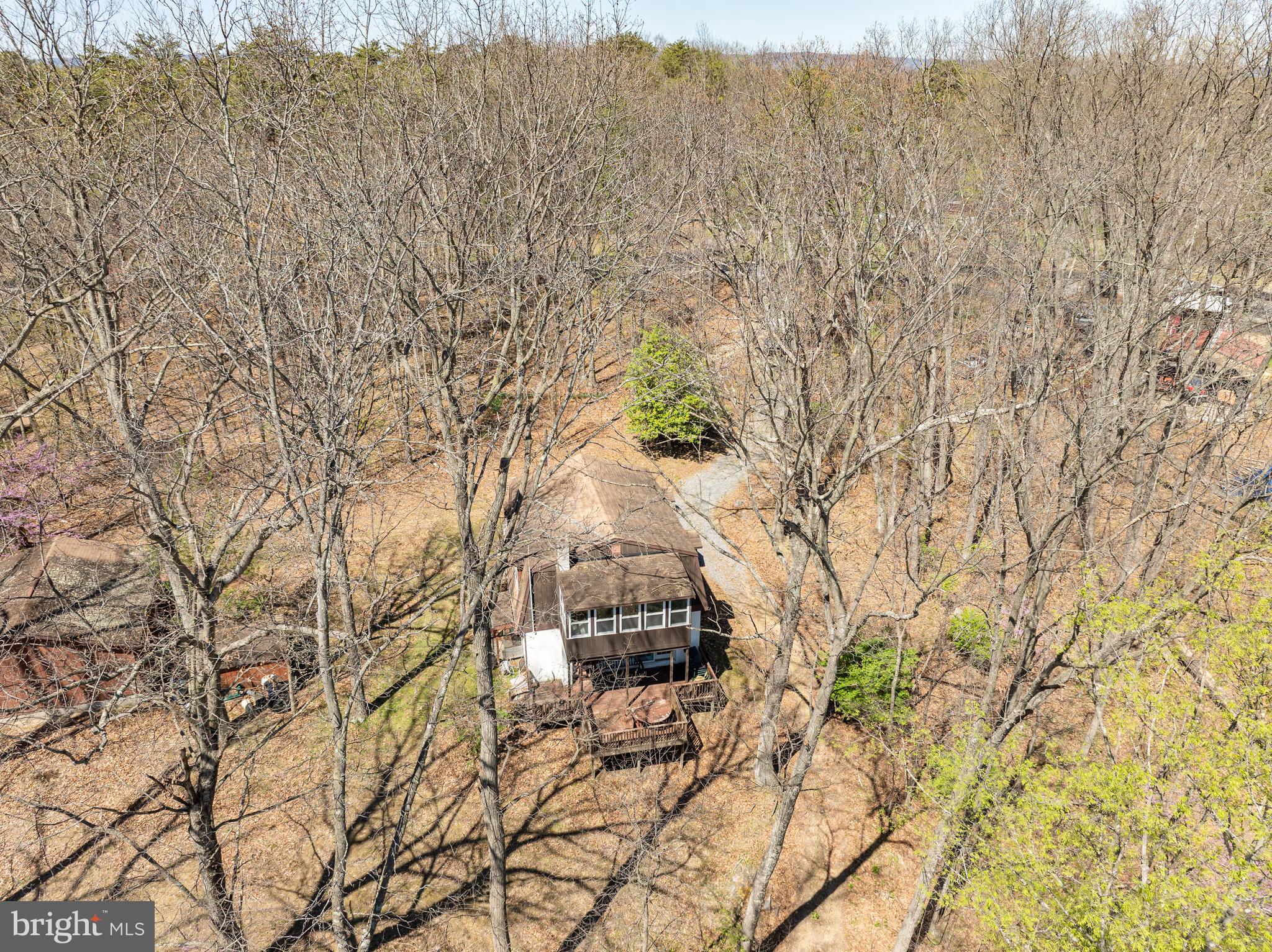 1524 Lamplight Road Bunker Hill, WV 25413 - Photo 33 of 44 a picture of trees