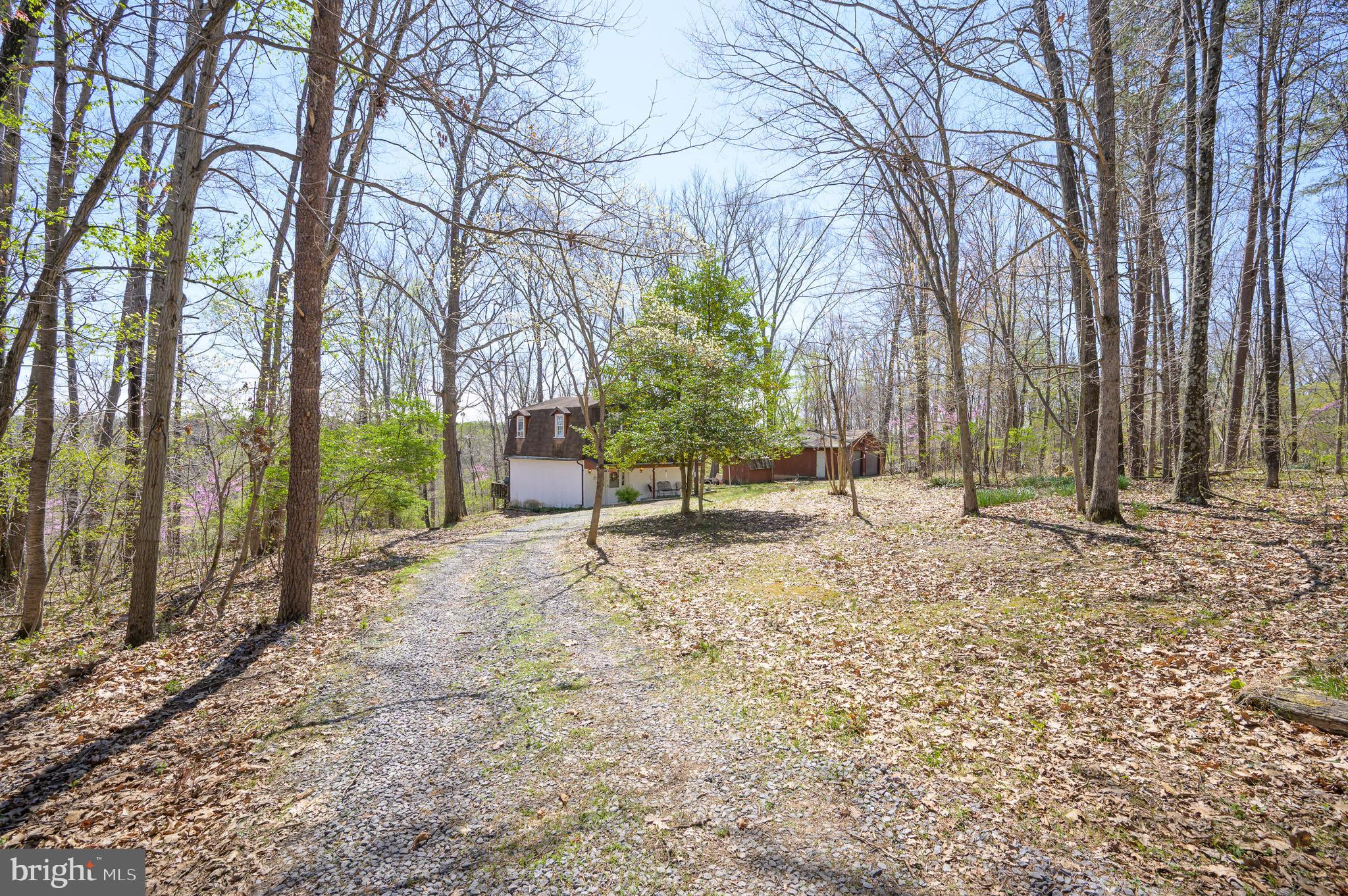 1524 Lamplight Road Bunker Hill, WV 25413 - Photo 38 of 44 a view of a yard with trees