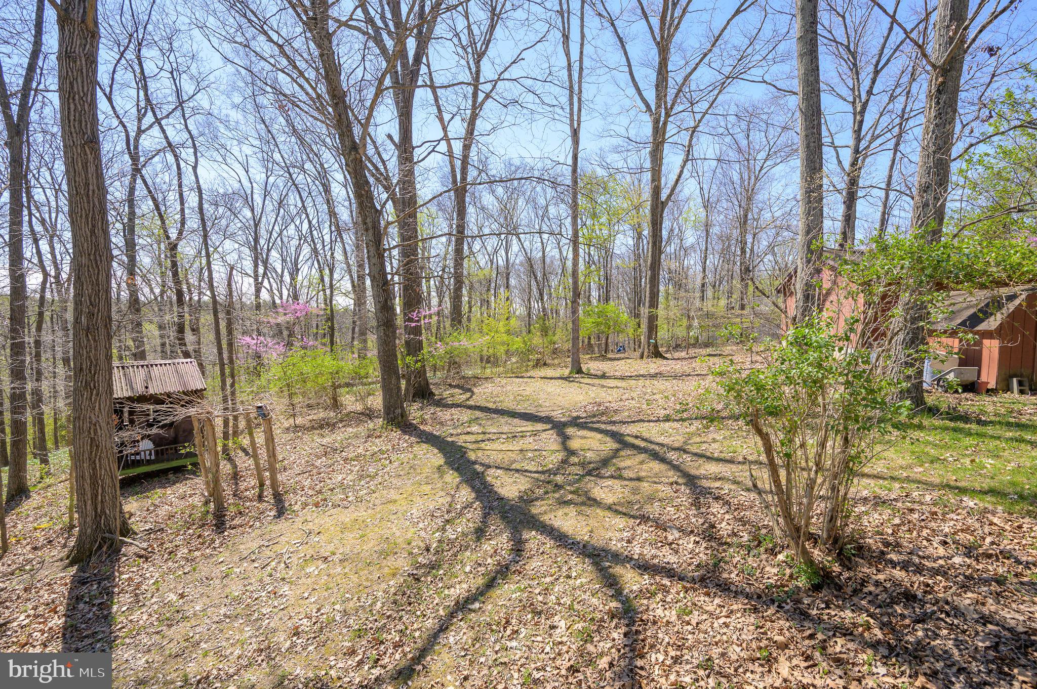 1524 Lamplight Road Bunker Hill, WV 25413 - Photo 39 of 44 a view of a yard with a house