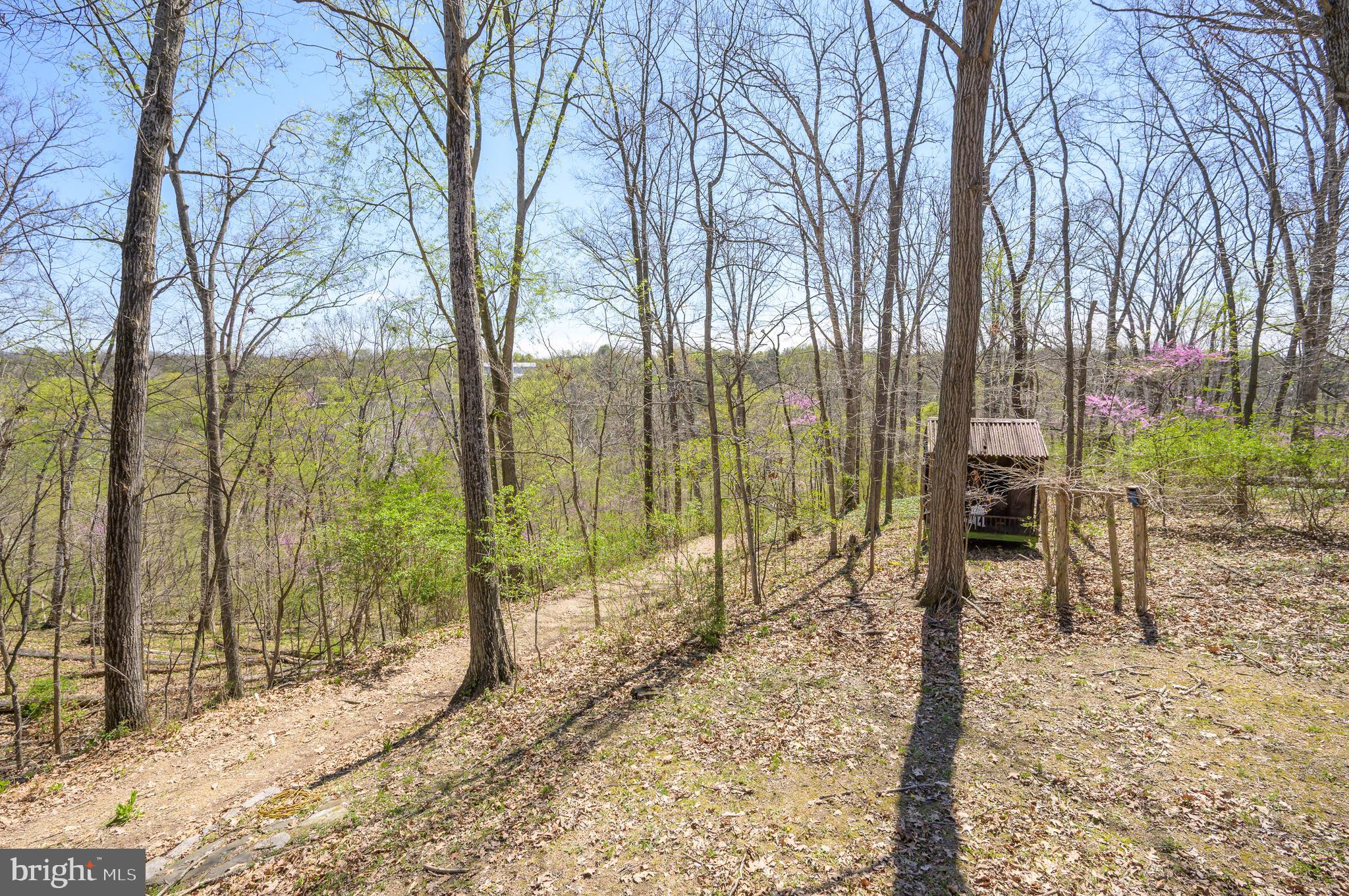 1524 Lamplight Road Bunker Hill, WV 25413 - Photo 40 of 44