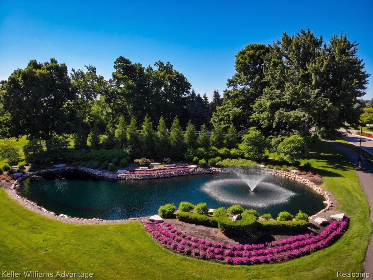 22878 Tree Top Court South Lyon, MI 48178 - Photo 66 of 75 Expansive pond with a central fountain feature, surrounded by manicured lawns, vibrant purple flowering plants, and mature trees