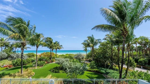 a view of a palm trees