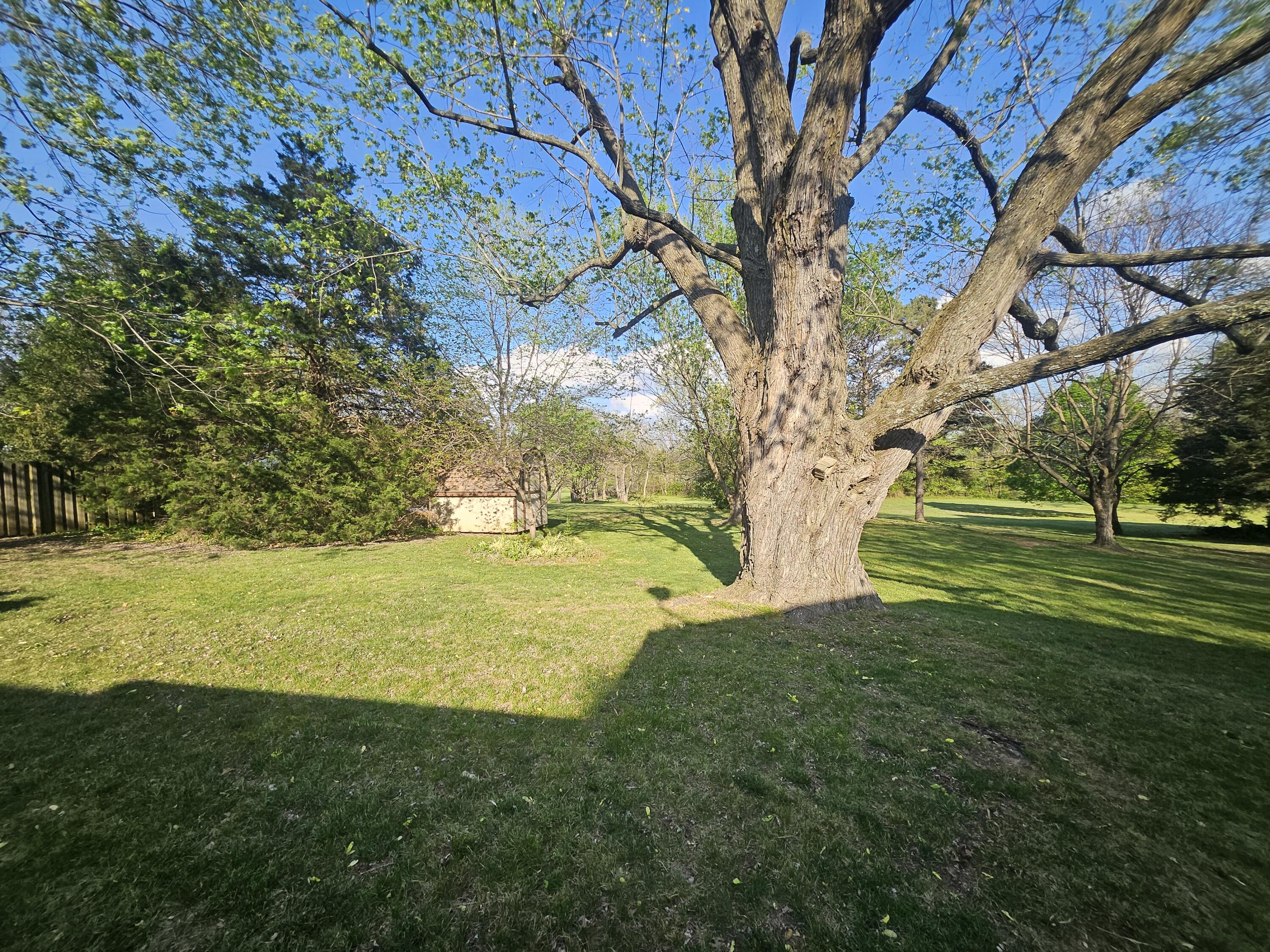 1105 North 14th Street Monett, MO 65708 - Photo 41 of 49 20260409_172630