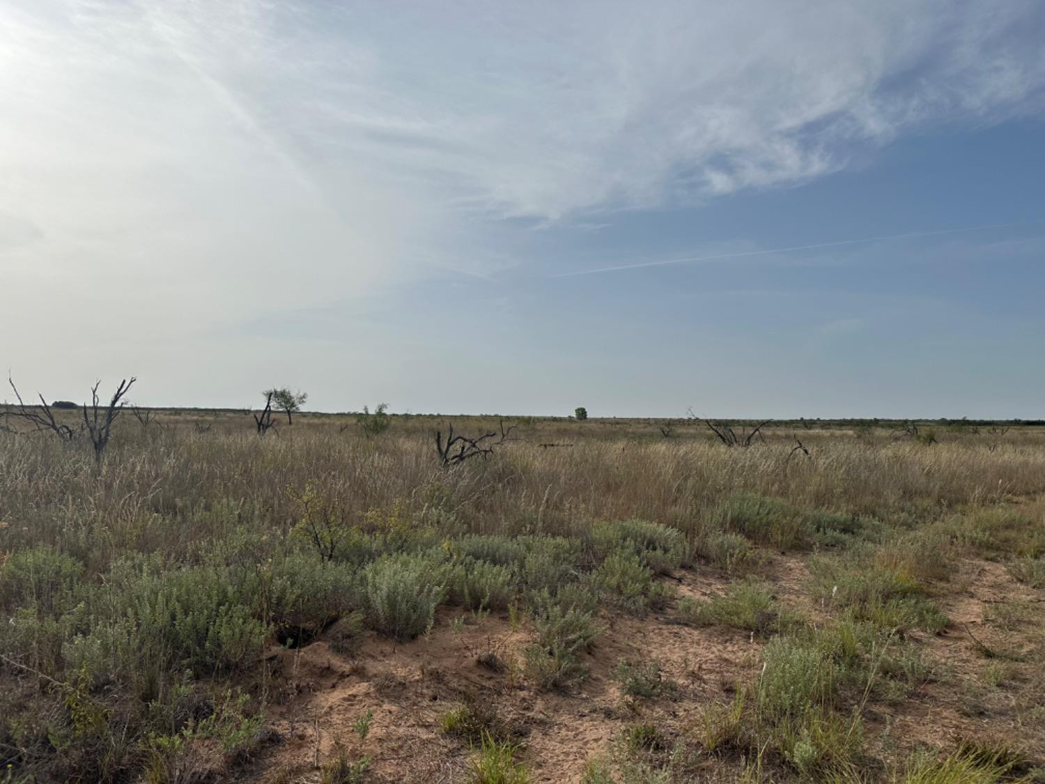 0 Fm 651 Post, TX 79356 - Photo 11 of 40 Photo 11