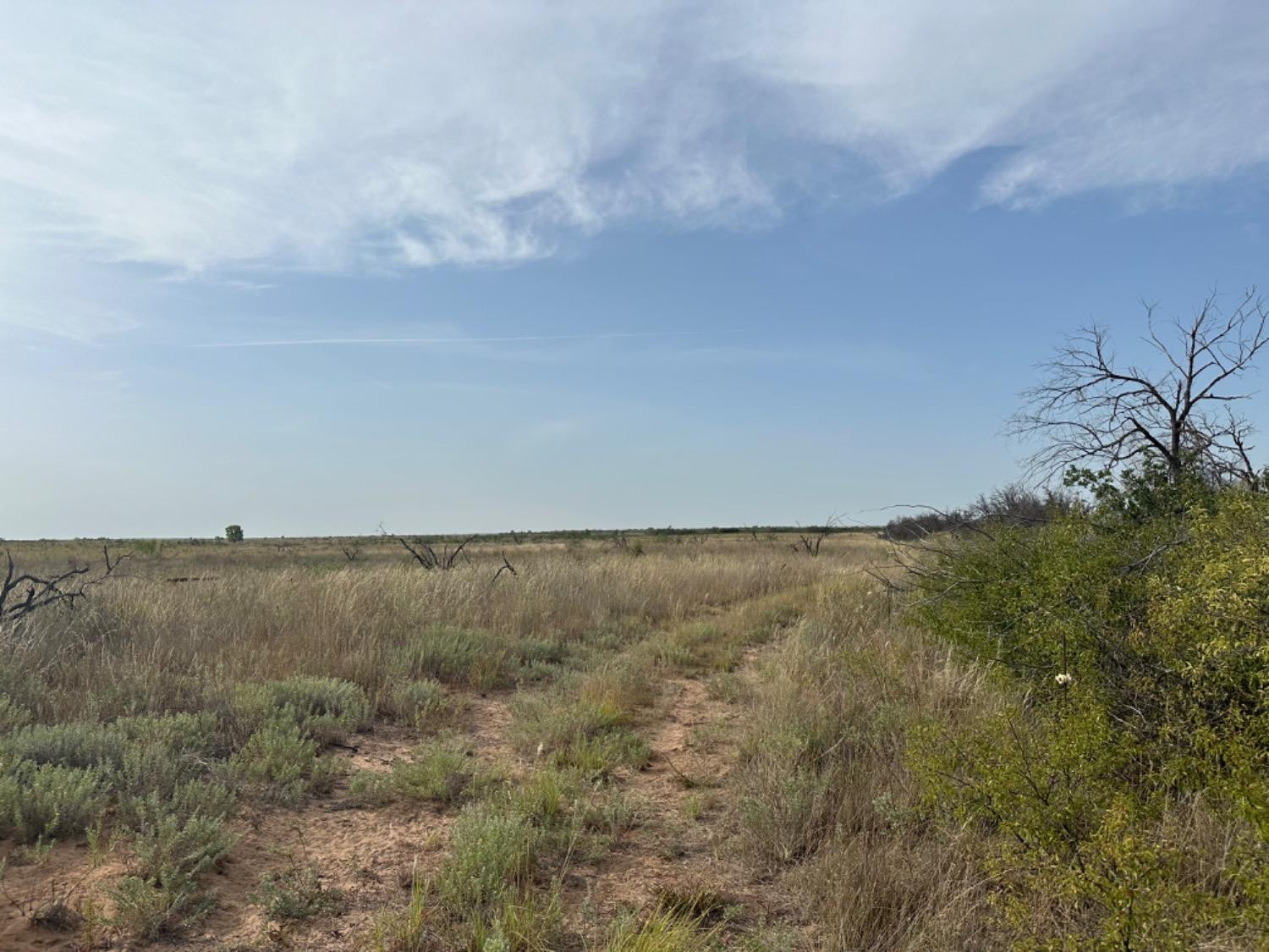 0 Fm 651 Post, TX 79356 - Photo 12 of 40 Photo 12