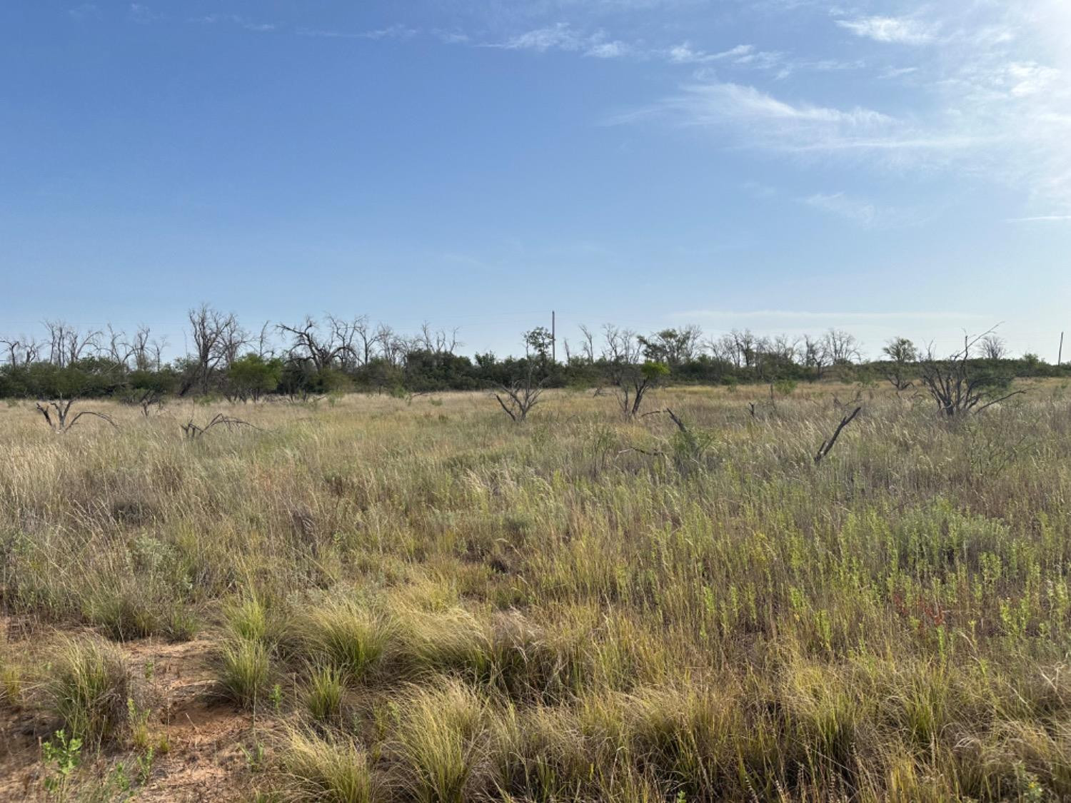0 Fm 651 Post, TX 79356 - Photo 13 of 40 Photo 13