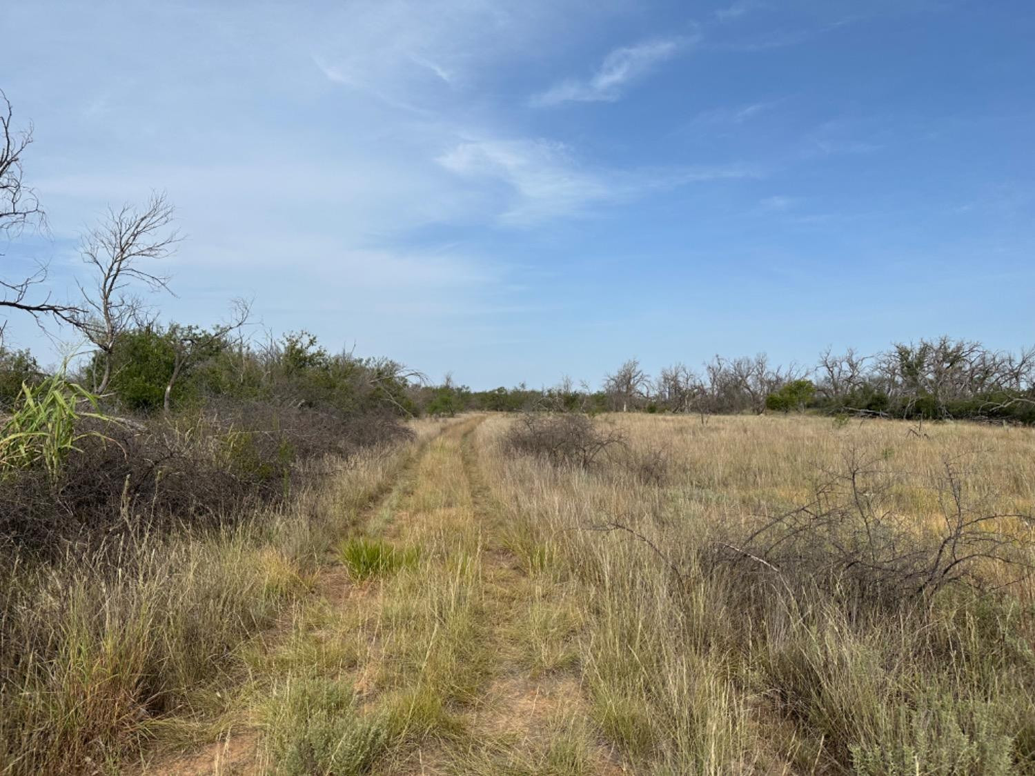 0 Fm 651 Post, TX 79356 - Photo 14 of 40 Photo 14