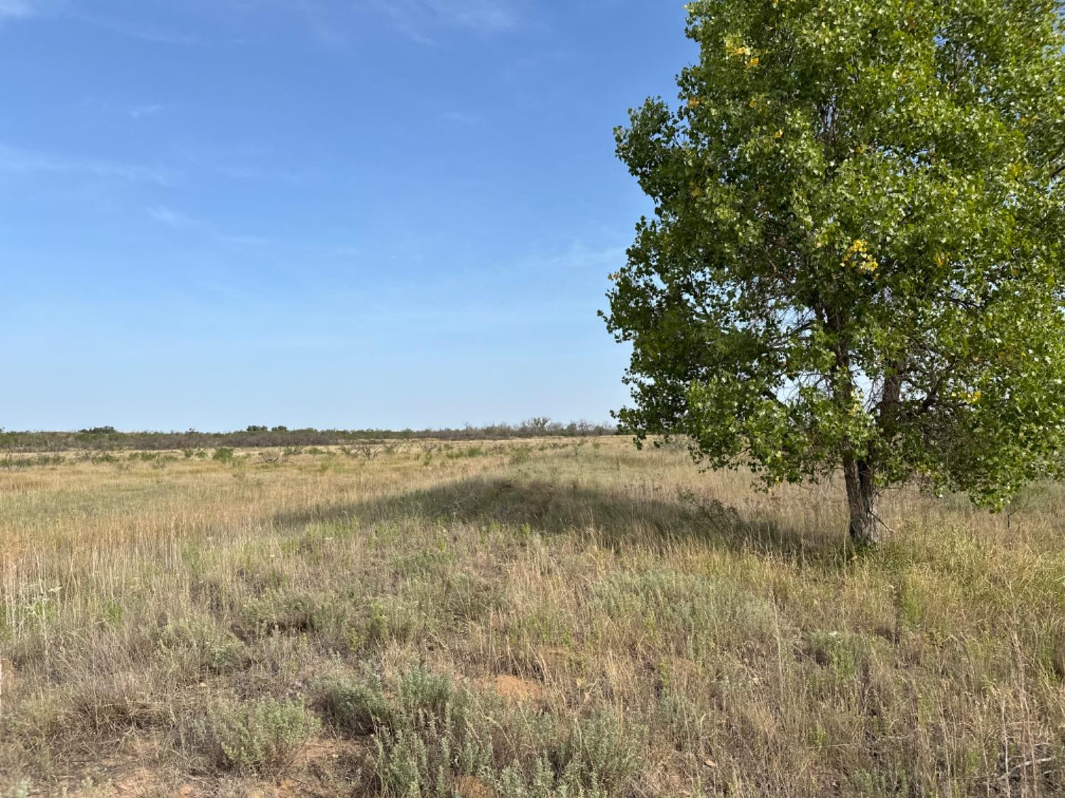 0 Fm 651 Post, TX 79356 - Photo 16 of 40 Photo 16