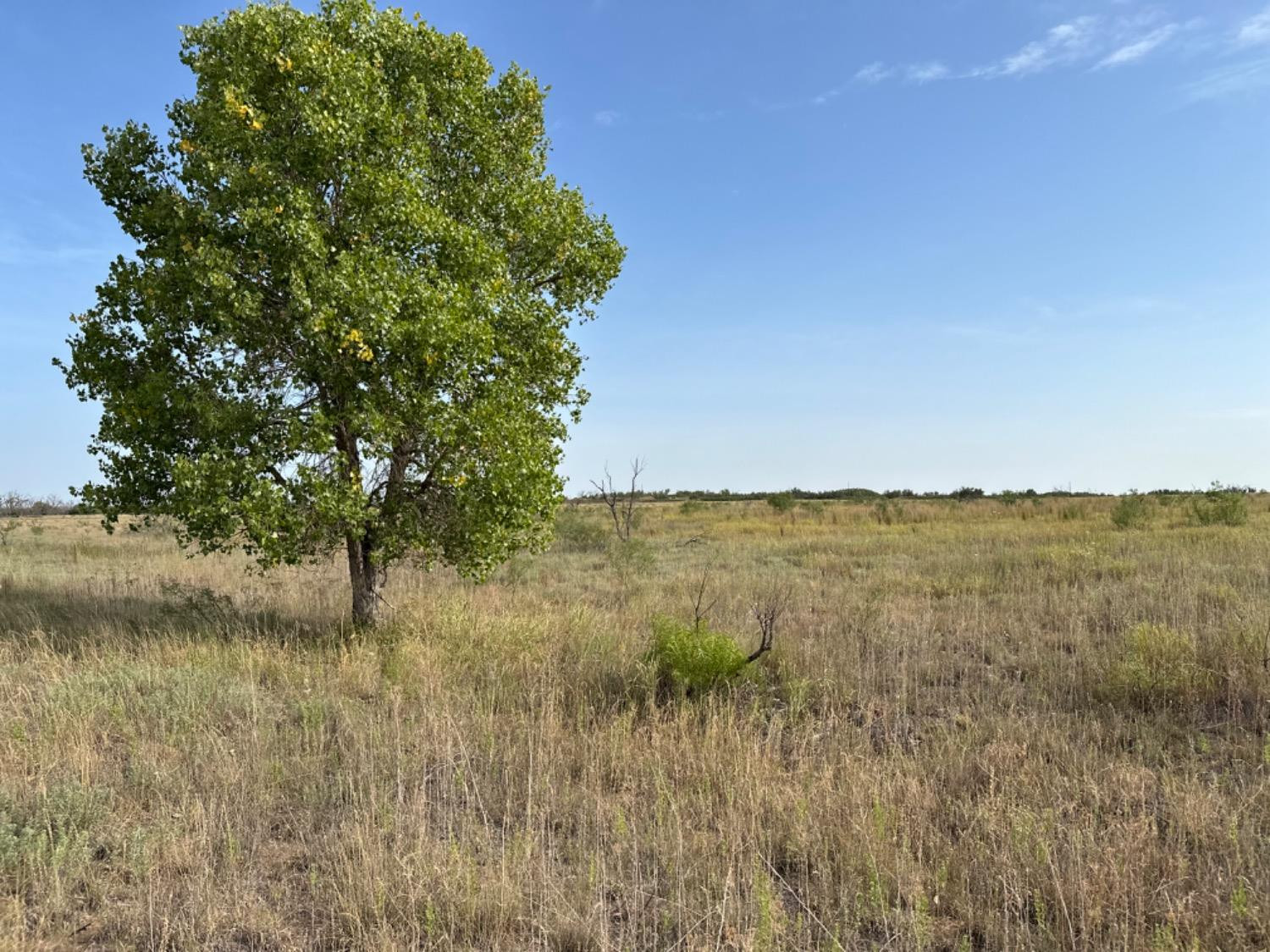0 Fm 651 Post, TX 79356 - Photo 17 of 40 Photo 17
