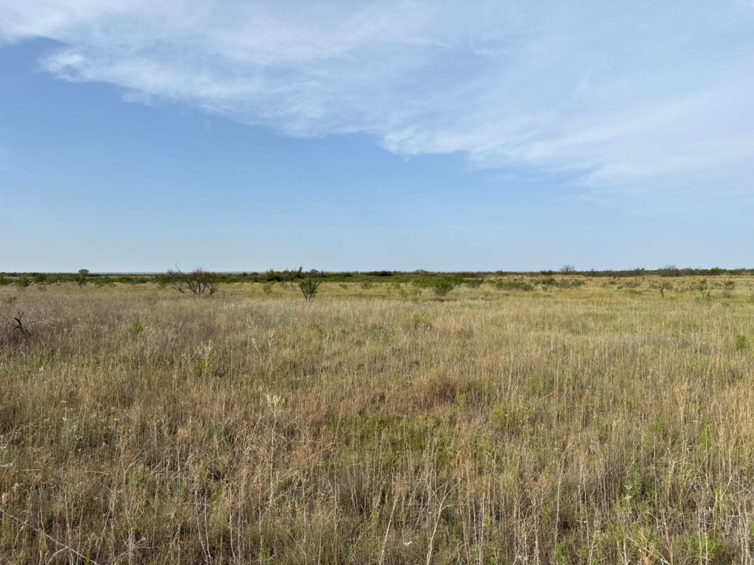 0 Fm 651 Post, TX 79356 - Photo 18 of 40 Photo 18