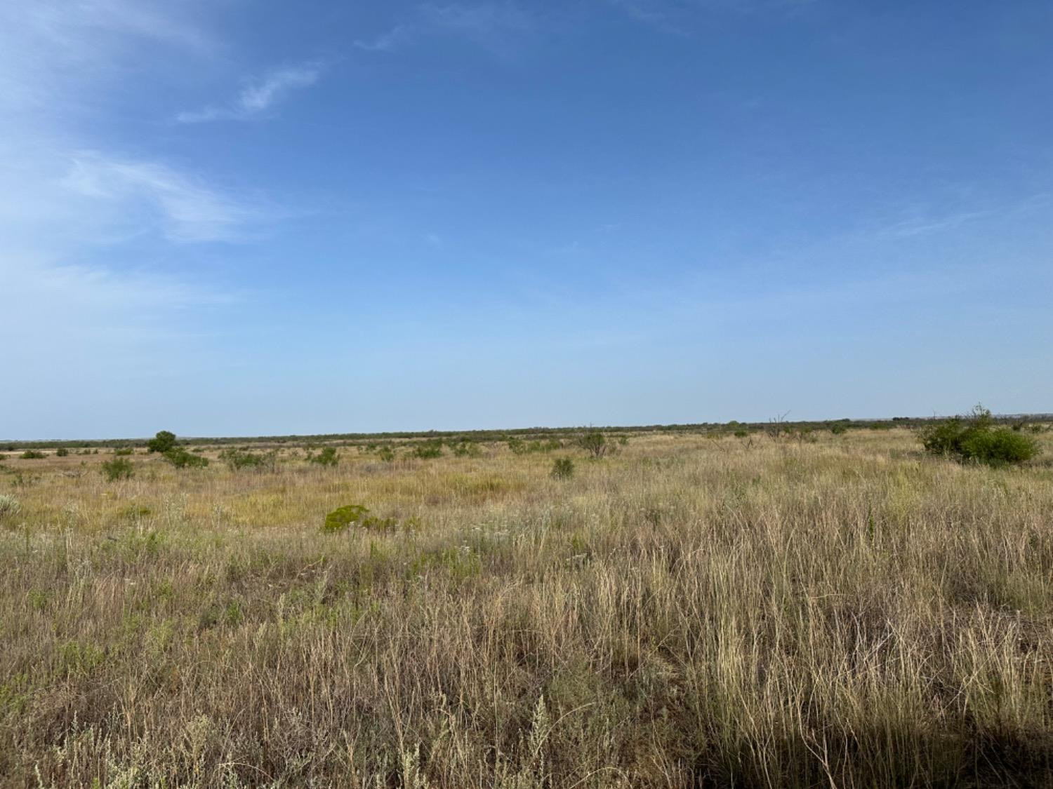 0 Fm 651 Post, TX 79356 - Photo 19 of 40 Photo 19