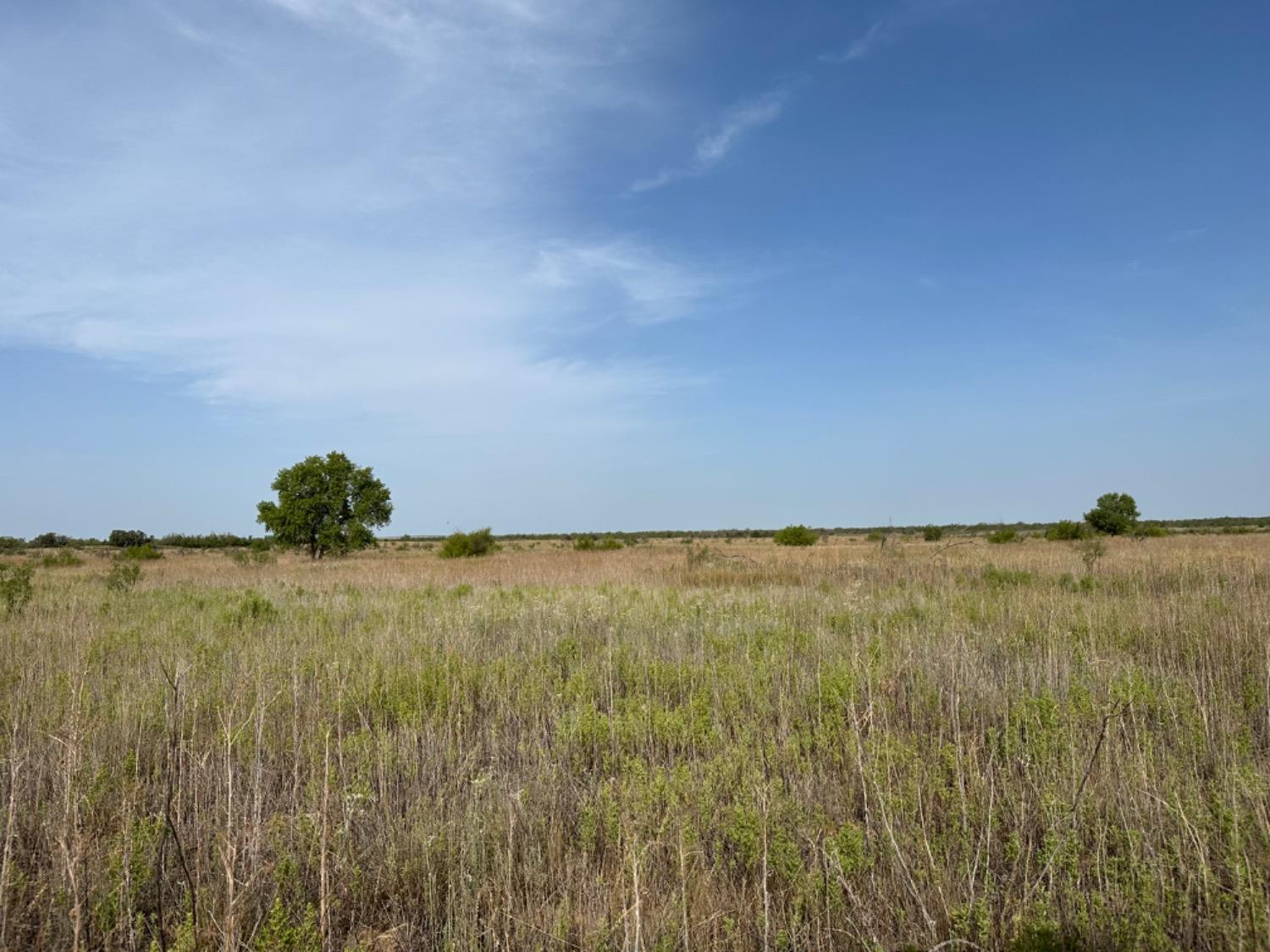 0 Fm 651 Post, TX 79356 - Photo 20 of 40 Photo 20