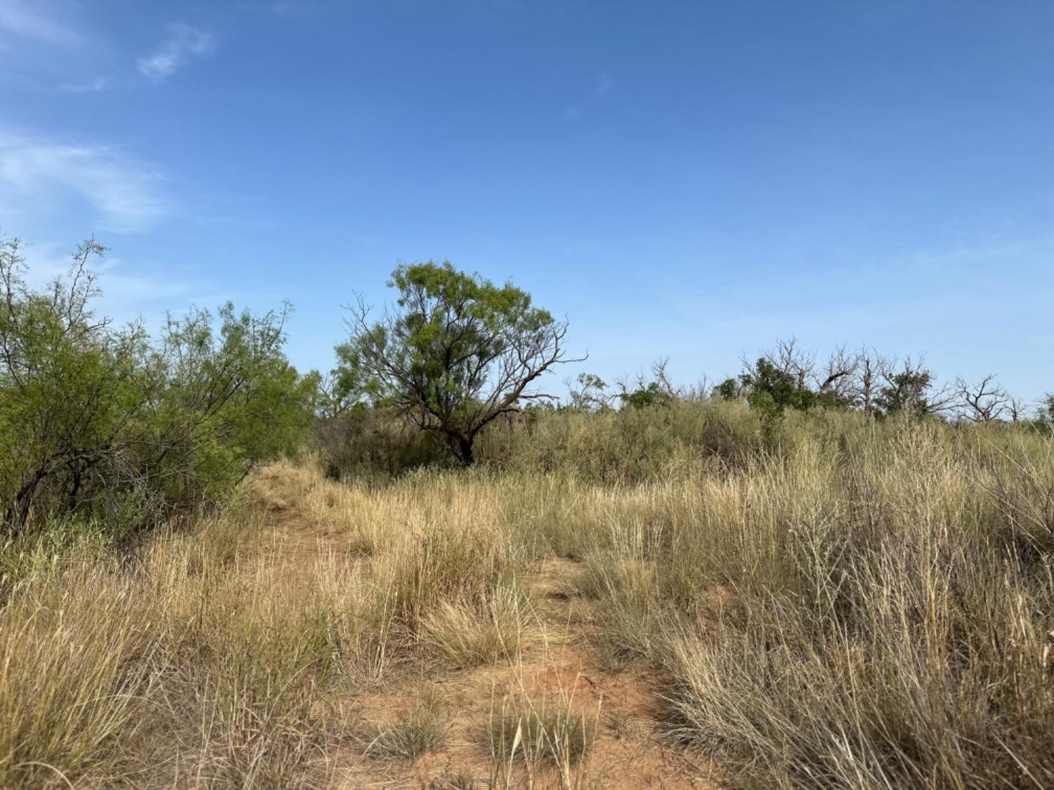 0 Fm 651 Post, TX 79356 - Photo 22 of 40 Photo 22