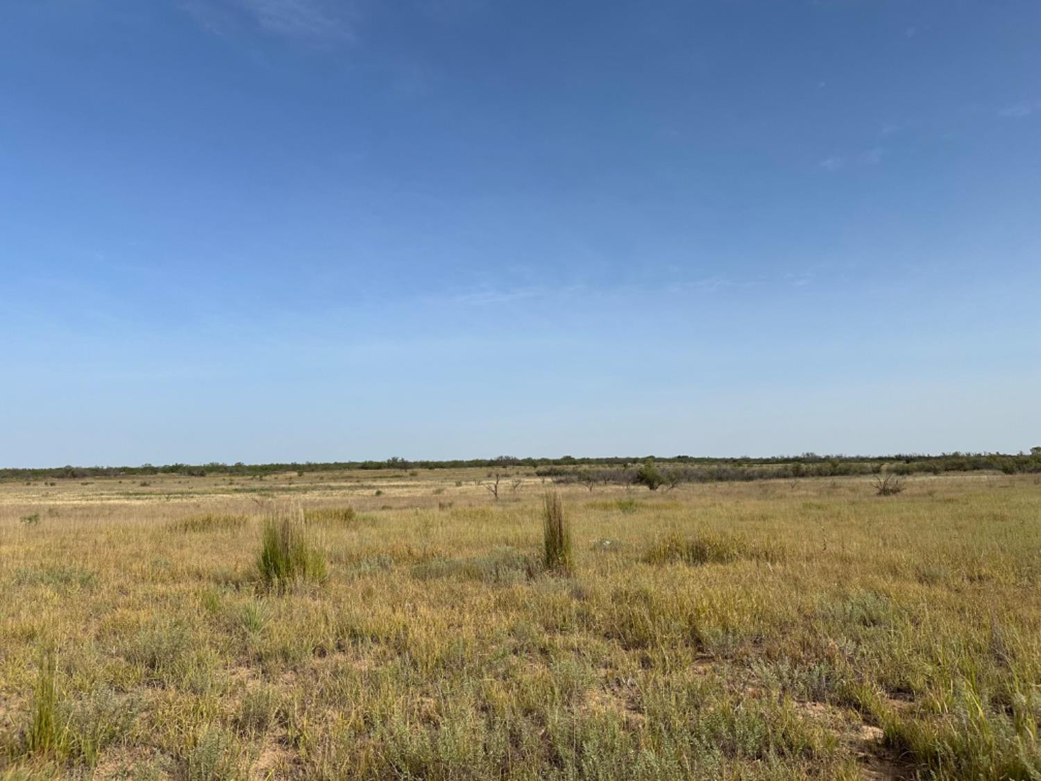 0 Fm 651 Post, TX 79356 - Photo 23 of 40 Photo 23