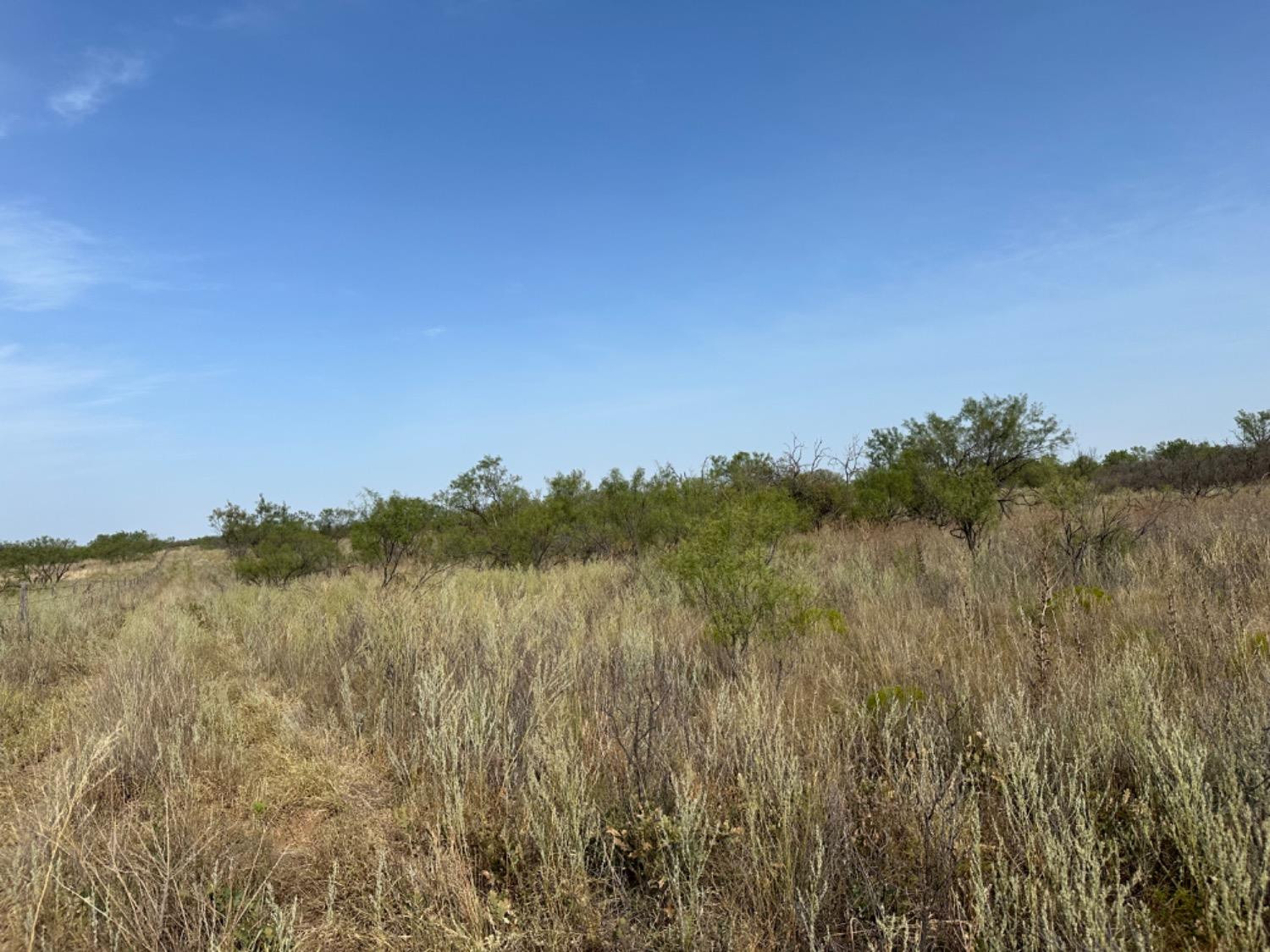 0 Fm 651 Post, TX 79356 - Photo 24 of 40 Photo 24