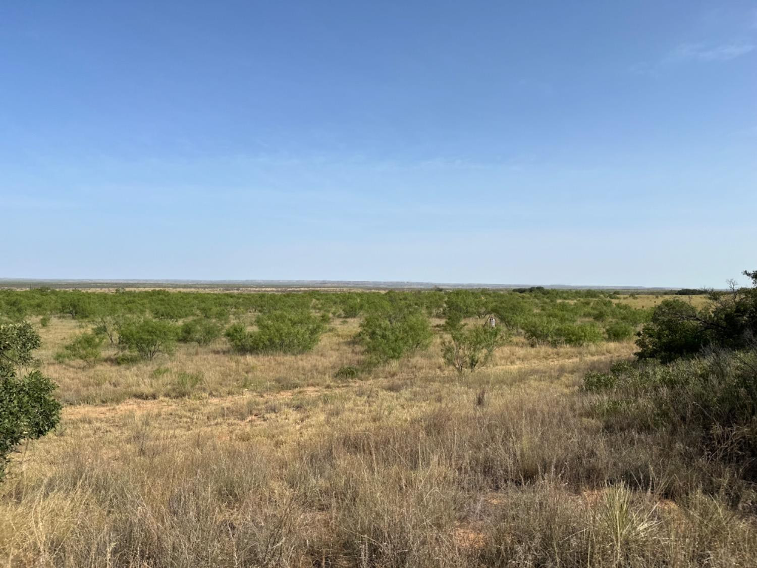 0 Fm 651 Post, TX 79356 - Photo 25 of 40 Photo 25