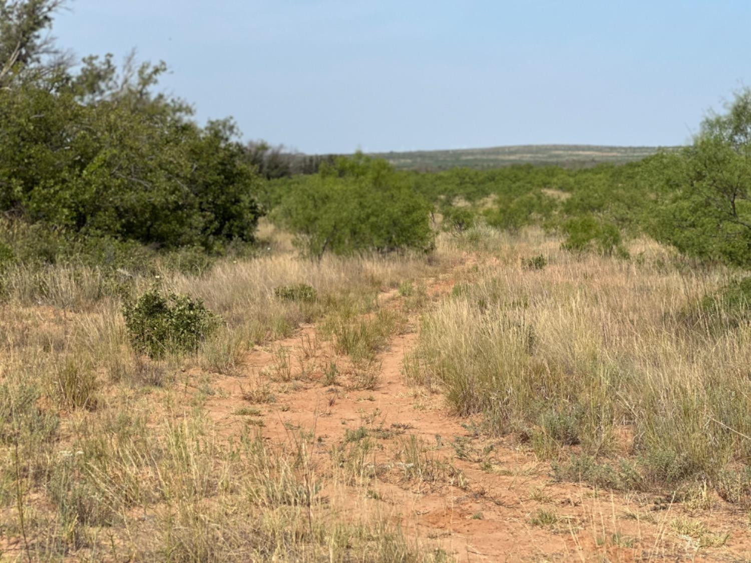 0 Fm 651 Post, TX 79356 - Photo 28 of 40 Photo 28