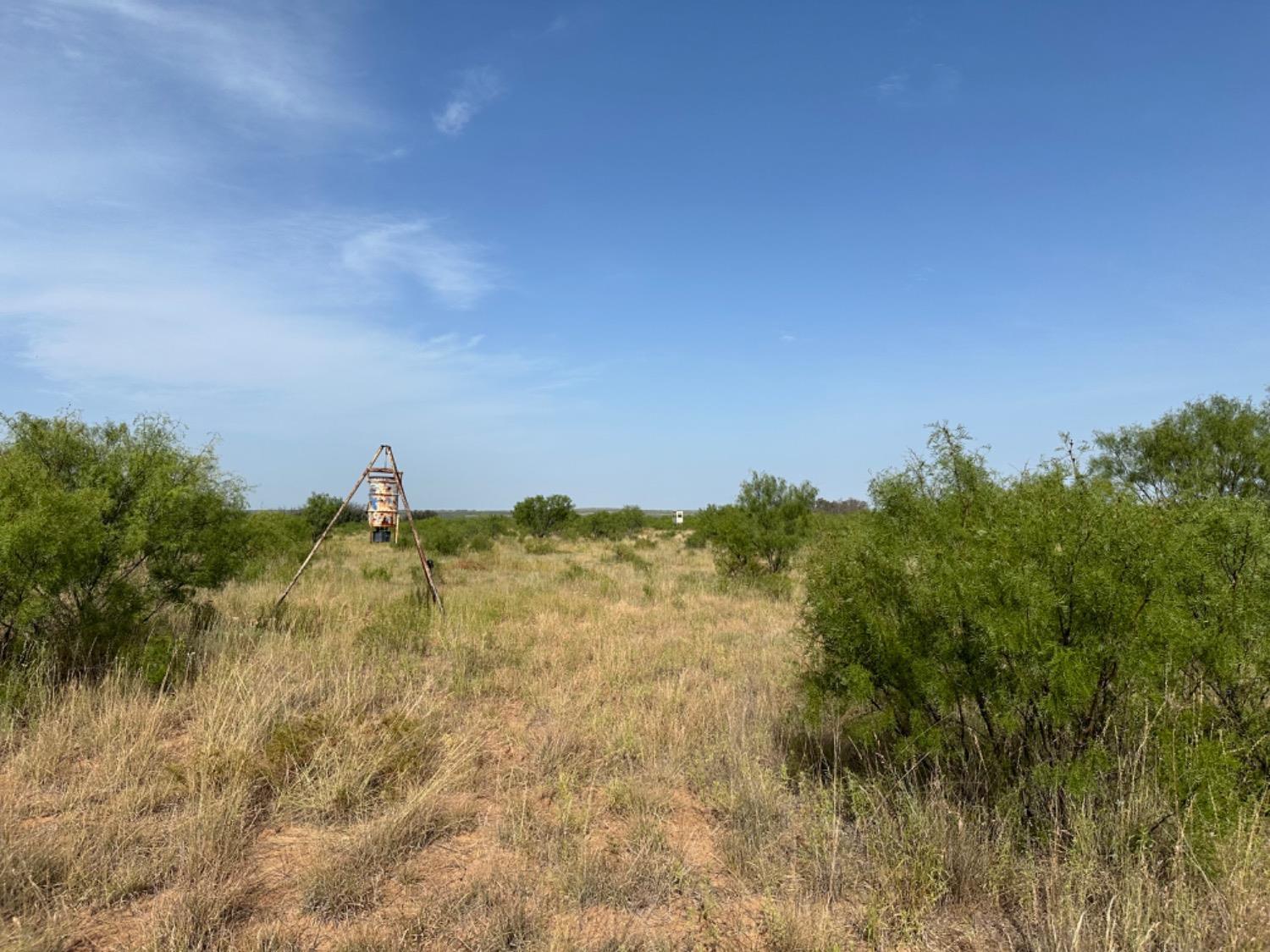 0 Fm 651 Post, TX 79356 - Photo 29 of 40 Photo 29
