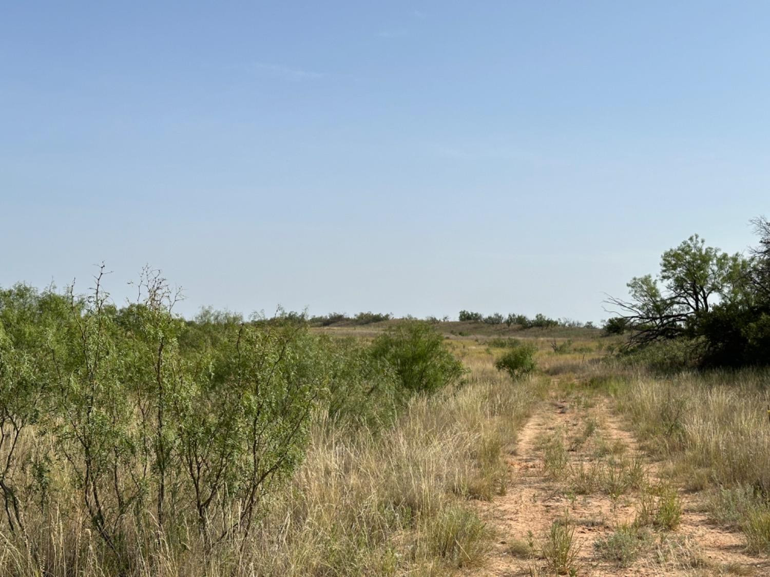 0 Fm 651 Post, TX 79356 - Photo 31 of 40 Photo 31